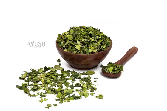 Moringa Leaves supplied by AYUSH LIFE ELEMENTS