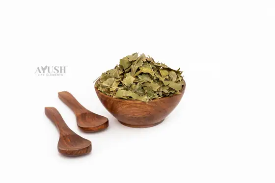 Neem Leaves supplied by AYUSH LIFE ELEMENTS